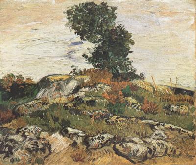 Vincent Van Gogh Rocks with Oak Trees (nn04) Spain oil painting art
